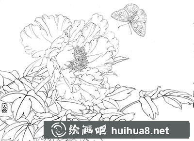 工筆畫教程怎么畫《鳳丹白蛺蝶》