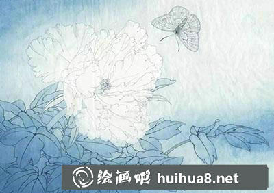 工筆畫教程怎么畫《鳳丹白蛺蝶》