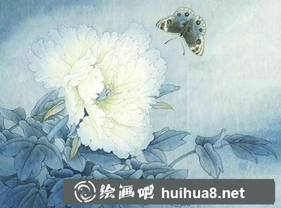 工筆畫教程怎么畫《鳳丹白蛺蝶》
