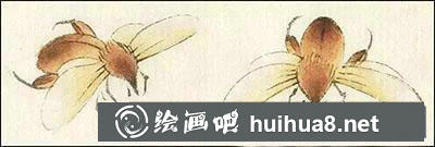 怎么給蜜蜂設(shè)色