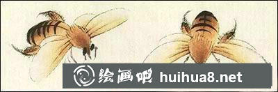 怎么給蜜蜂設(shè)色