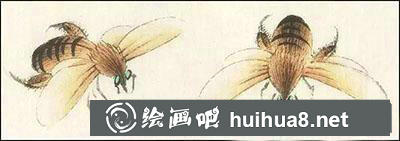 怎么給蜜蜂設(shè)色