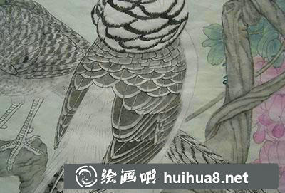 工筆畫教程怎么畫錦雞
