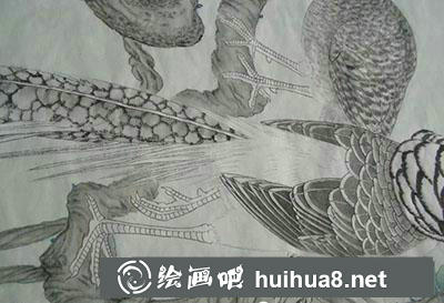 工筆畫教程怎么畫錦雞
