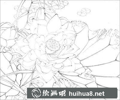 工筆畫教程怎么畫千瓣蓮
