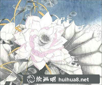 工筆畫教程怎么畫千瓣蓮