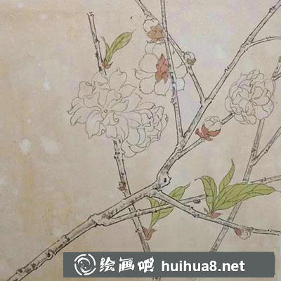 工筆畫教程怎么畫桃花