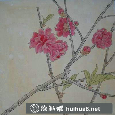 工筆畫教程怎么畫桃花