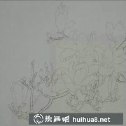 工筆畫教程詳解玉蘭繪制方法