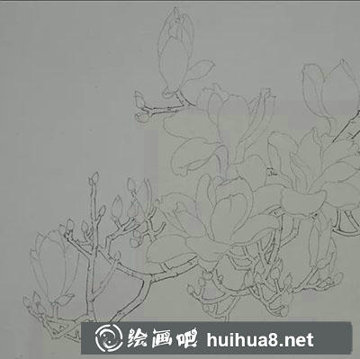 工筆畫教程怎么畫玉蘭