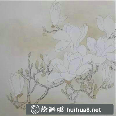 工筆畫教程怎么畫玉蘭