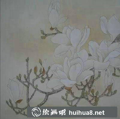 工筆畫教程怎么畫玉蘭