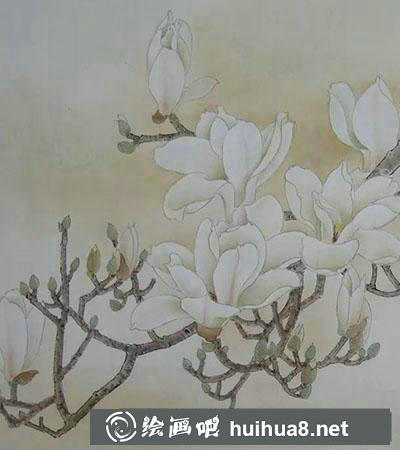 工筆畫教程怎么畫玉蘭