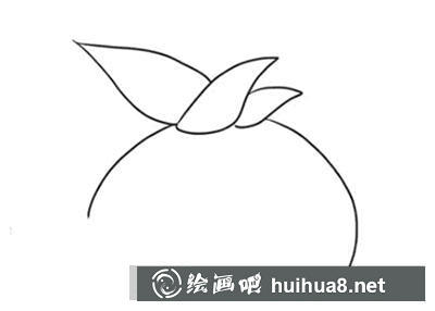 簡(jiǎn)筆畫教程怎么畫水仙球開花