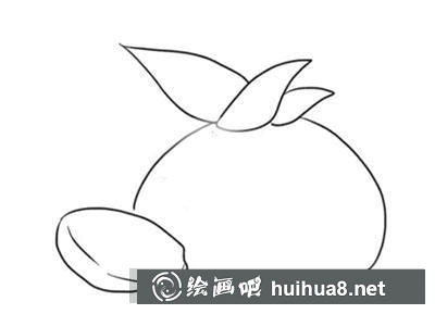 簡(jiǎn)筆畫教程怎么畫水仙球開花