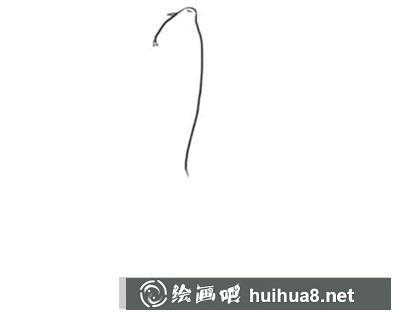 簡筆畫教程怎么畫錦魚