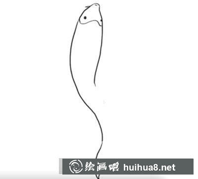 簡筆畫教程怎么畫錦魚