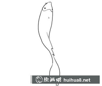 簡筆畫教程怎么畫錦魚