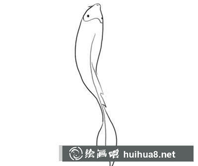 簡筆畫教程怎么畫錦魚