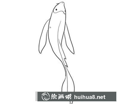 簡筆畫教程怎么畫錦魚