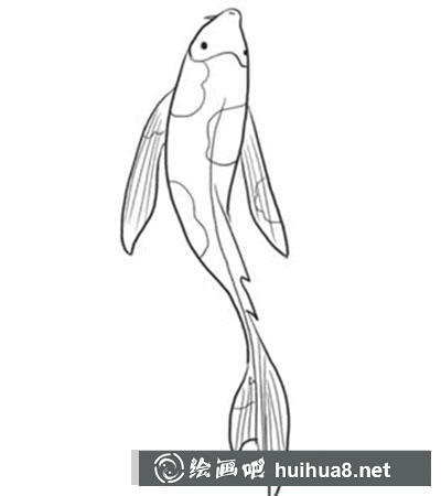 簡筆畫教程怎么畫錦魚
