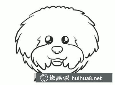 簡筆畫教程怎么畫泰迪 簡筆畫教程怎么畫泰迪