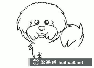 簡筆畫教程怎么畫泰迪 簡筆畫教程怎么畫泰迪