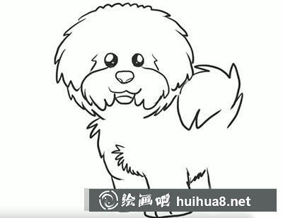 簡筆畫教程怎么畫泰迪 簡筆畫教程怎么畫泰迪