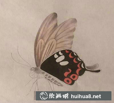 工筆畫教程怎么畫蝴蝶與紫藤花