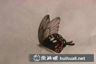 工筆畫教程怎么畫蝴蝶與紫藤花