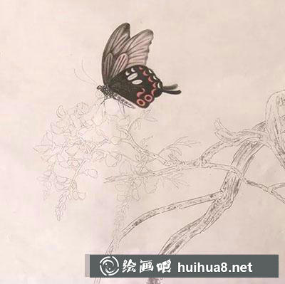 工筆畫教程怎么畫蝴蝶與紫藤花