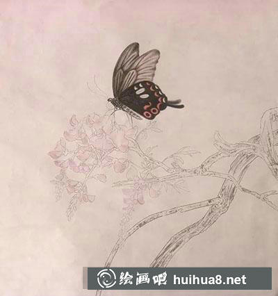工筆畫教程怎么畫蝴蝶與紫藤花