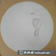 工筆畫花鳥圖教程解析