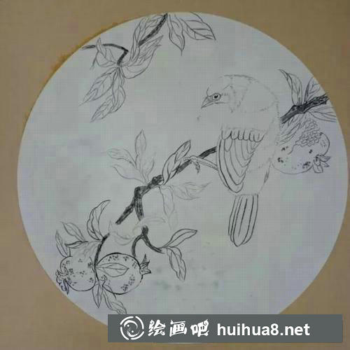 花鳥(niǎo)工筆畫(huà)過(guò)程