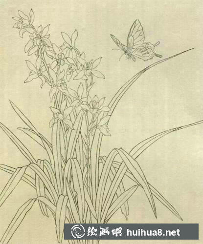 蘭花國(guó)畫過程
