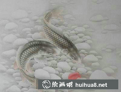 工筆畫(huà)教程怎么畫(huà)鯉魚(yú) 工筆畫(huà)教程怎么畫(huà)鯉魚(yú)
