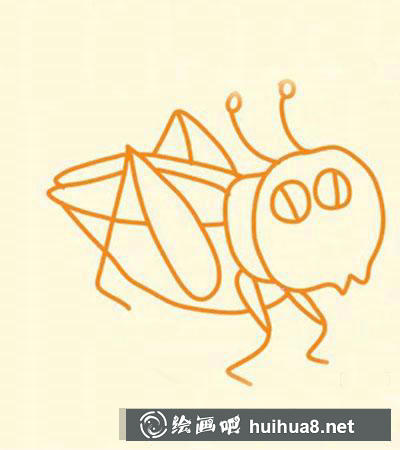 簡(jiǎn)筆畫教程怎么畫蟋蟀第六步