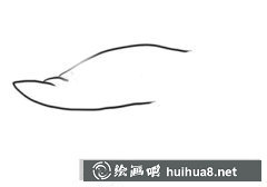 鯊魚(yú)簡(jiǎn)筆畫(huà)教學(xué)