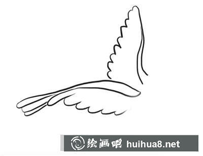怎么畫一只和平鴿