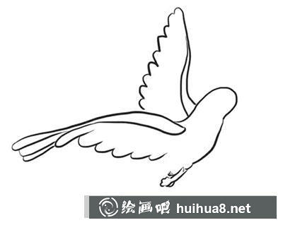 怎么畫一只和平鴿