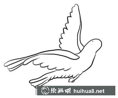 怎么畫一只和平鴿