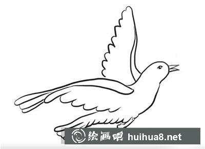 怎么畫一只和平鴿