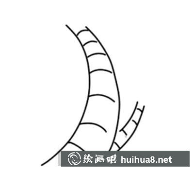 怎么畫椰子樹