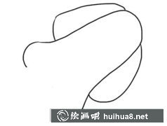 烏賊繪畫(huà)教程