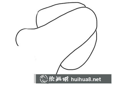 繪制烏賊上半部分
