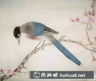 怎么畫梅花與山鵲