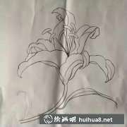 百合花繪畫技巧