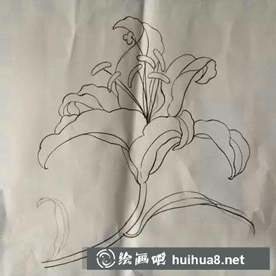 怎么畫百合花