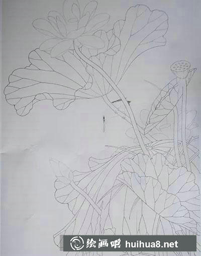 怎么畫荷花