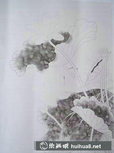 怎么畫荷花